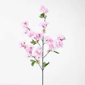 Cherry Blossom Stem Pink by Florabelle Living, a Plants for sale on Style Sourcebook