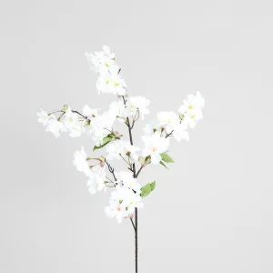 Cherry Blossom Stem White by Florabelle Living, a Plants for sale on Style Sourcebook