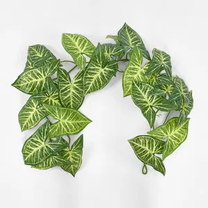Variegated Taro Leaf Garland by Florabelle Living, a Christmas for sale on Style Sourcebook