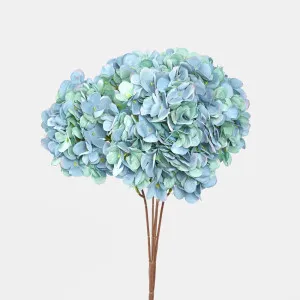 Hydrangea Bush Dark Blue by Florabelle Living, a Plants for sale on Style Sourcebook