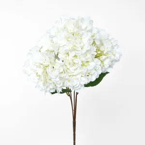 Hydrangea Bush White by Florabelle Living, a Plants for sale on Style Sourcebook