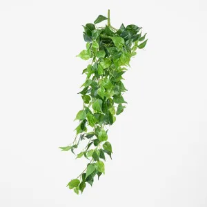 Hanging Pothos Spray by Florabelle Living, a Plants for sale on Style Sourcebook