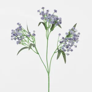 Baby's Breath Spray Purple by Florabelle Living, a Plants for sale on Style Sourcebook