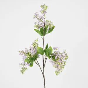 Snow Fruit Stem Purple by Florabelle Living, a Plants for sale on Style Sourcebook