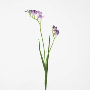 Freesia Stem Purple by Florabelle Living, a Plants for sale on Style Sourcebook