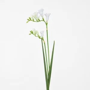 Freesia Stem White by Florabelle Living, a Plants for sale on Style Sourcebook