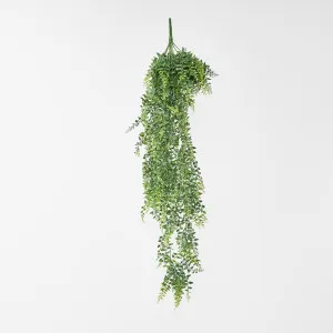 Baker Fern Vine Hanging 67CM Green by Florabelle Living, a Plants for sale on Style Sourcebook