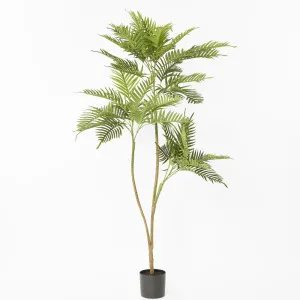 Real Touch Fern Palm 190cm by Florabelle Living, a Plants for sale on Style Sourcebook