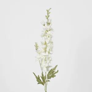 Light Lilac Purple Delphinium 60cm by Florabelle Living, a Plants for sale on Style Sourcebook