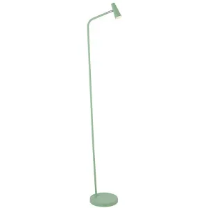 Telbix Bexley LED Floor Lamp Green by Telbix, a Floor Lamps for sale on Style Sourcebook