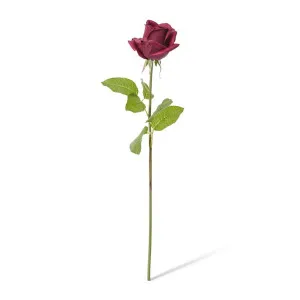Rose Classic Short Stem (RT) - 14 x 12 x 45cm by null, a Plants for sale on Style Sourcebook