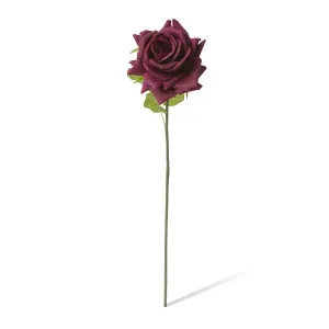Rose Garden Short Stem (RT) - 14 x 12 x 45cm by null, a Plants for sale on Style Sourcebook