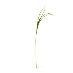 Grass Spray - 16 x 16 x 102cm by null, a Plants for sale on Style Sourcebook