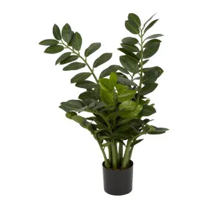 Smargago Potted Plant 66cm by Florabelle Living, a Plants for sale on Style Sourcebook