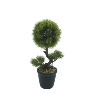Bonzai Pine Topiary Bush In Black Pot by Florabelle Living, a Plants for sale on Style Sourcebook
