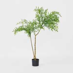 Nandina Tree 120 CM by Florabelle Living, a Plants for sale on Style Sourcebook