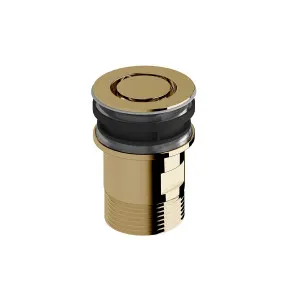 Sussex Taps Bath Plug and Waste LUXPVD® Pure Gold SXBHPW-59 by Sussex Taps, a Kitchen Taps & Mixers for sale on Style Sourcebook