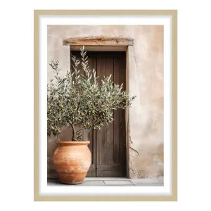 Avina Framed Print in 95 x 133cm by OZ Design, a Prints for sale on Style Sourcebook