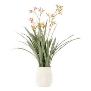 Kangaroo Paw Maliah Pot 35x72cm in Yellow by OZ Design, a Plants for sale on Style Sourcebook