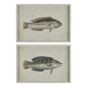 Pez Framed Print Set of 2 in 50 x 35cm by OZ Design, a Prints for sale on Style Sourcebook