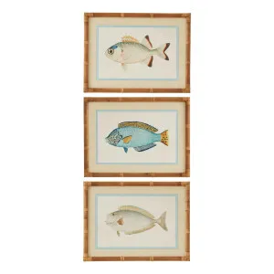 Nemo Framed Print Set of 3 in 45 x 60cm by OZ Design, a Prints for sale on Style Sourcebook