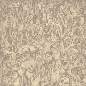 Watermarked Warm Shell Wallpaper by Urban Road, a Wallpaper for sale on Style Sourcebook