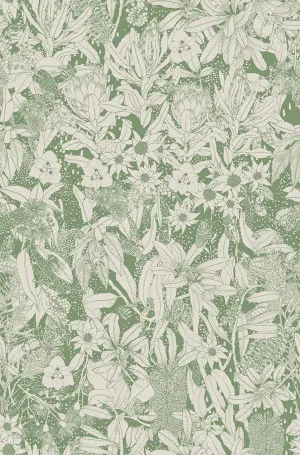 Monochrome Natives I Olive Wallpaper by Urban Road, a Wallpaper for sale on Style Sourcebook