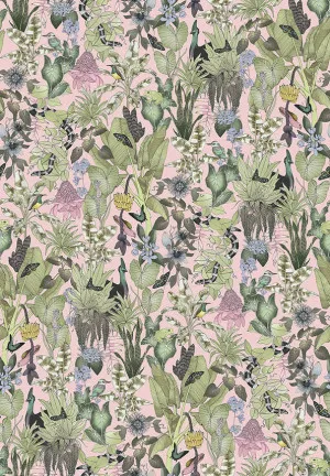 Rainforest Soft Pink Wallpaper by Urban Road, a Wallpaper for sale on Style Sourcebook