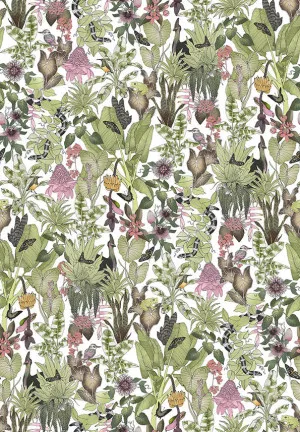 Rainforest White Wallpaper by Urban Road, a Wallpaper for sale on Style Sourcebook