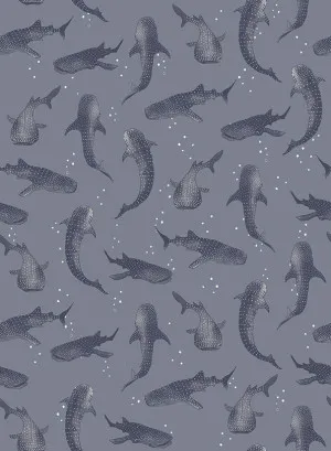 Whalesharks Ocean Blue Wallpaper by Urban Road, a Wallpaper for sale on Style Sourcebook