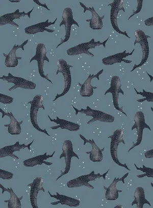 Whalesharks Teal Blue Wallpaper by Urban Road, a Wallpaper for sale on Style Sourcebook