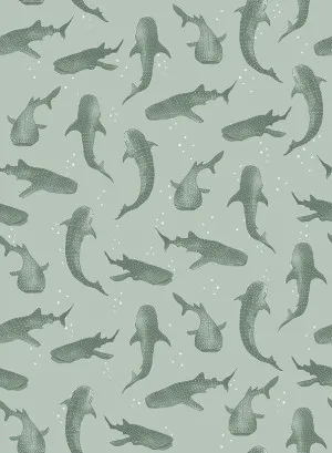 Whalesharks Emerald Green Wallpaper by Urban Road, a Wallpaper for sale on Style Sourcebook
