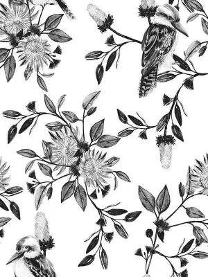 Kookaburra Black Wallpaper by Urban Road, a Wallpaper for sale on Style Sourcebook