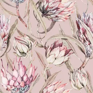 Perfect Proteas Blush Wallpaper by Urban Road, a Wallpaper for sale on Style Sourcebook