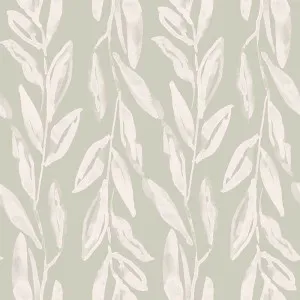 Olive Branch Natural Wallpaper by Urban Road, a Wallpaper for sale on Style Sourcebook