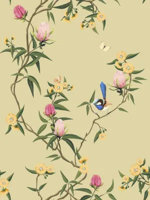 Songbird Blossoms Wattle Yellow Wallpaper by Urban Road, a Wallpaper for sale on Style Sourcebook
