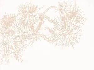 Pandan Sketch Blush Wallpaper by Urban Road, a Wallpaper for sale on Style Sourcebook