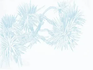 Pandan Sketch Powder Blue Wallpaper by Urban Road, a Wallpaper for sale on Style Sourcebook