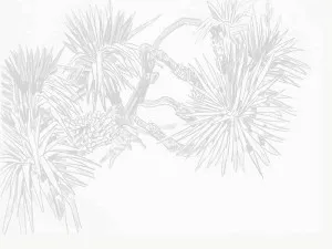 Pandan Sketch Pale Grey Wallpaper by Urban Road, a Wallpaper for sale on Style Sourcebook