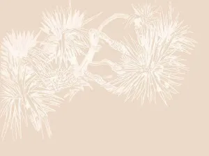 Pandan Sketch Terracotta Wallpaper by Urban Road, a Wallpaper for sale on Style Sourcebook
