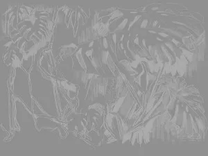 Monstera Sketch Grey Wallpaper by Urban Road, a Wallpaper for sale on Style Sourcebook