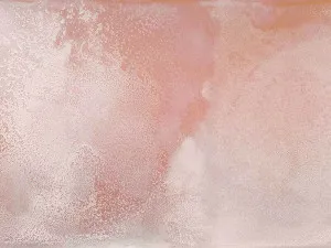 Cygnus Wallpaper by Urban Road, a Wallpaper for sale on Style Sourcebook