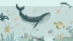 Where the Whales Play Tidal Blue Wallpaper by Urban Road, a Wallpaper for sale on Style Sourcebook
