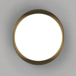 Lighting Republic Bode Round LED Wall & Ceiling Light Old Brass by Lighting Republic, a Wall Lighting for sale on Style Sourcebook