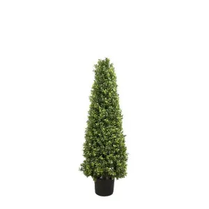 Boxwood Pyramid Tree 1m by Florabelle Living, a Plants for sale on Style Sourcebook