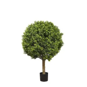 Boxwood Ball Tree 75cm by Florabelle Living, a Plants for sale on Style Sourcebook