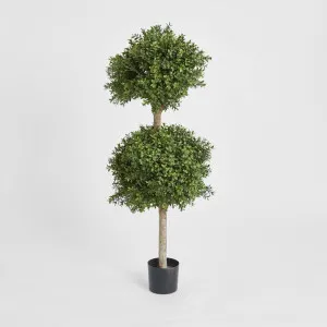 Boxwood Double Ball Tree 1.1m by Florabelle Living, a Plants for sale on Style Sourcebook