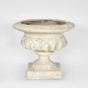 Arbor Footed Urn by Florabelle Living, a Plant Holders for sale on Style Sourcebook