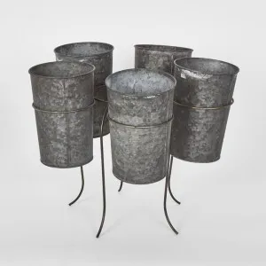 French Tin Centrepiece Medium by Florabelle Living, a Plant Holders for sale on Style Sourcebook