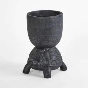 Terry Turtle Planter Black Large by Florabelle Living, a Plant Holders for sale on Style Sourcebook